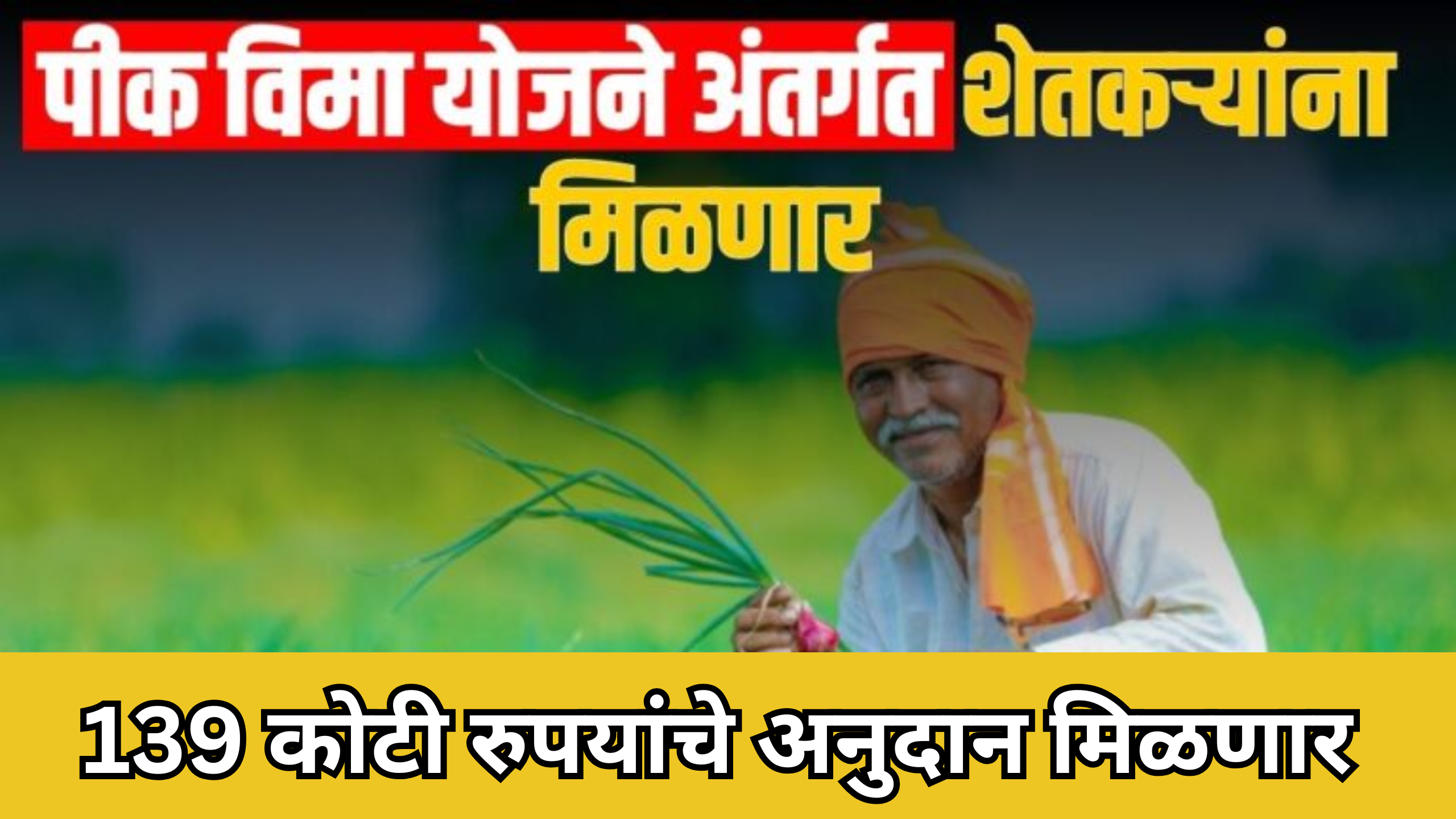 crop insurance scheme : पीक विमा योजनेअंतर्गत शेतकऱ्यांना 139 कोटी रुपयांचे अनुदान मिळणार आहे